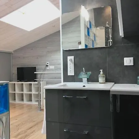 Duplex Atypique 20' De Toulouse *