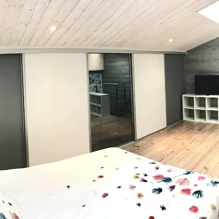 Duplex Atypique 20' De Toulouse Leguevin