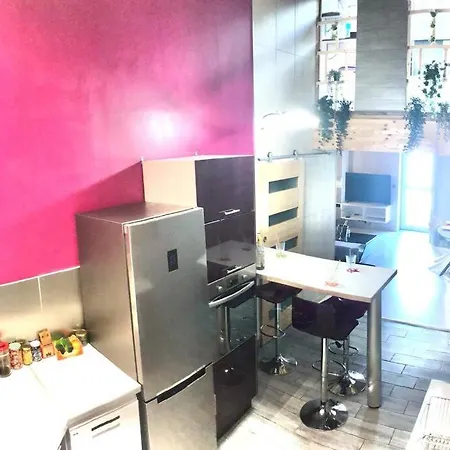 Duplex Atypique 20' De Toulouse Leguevin