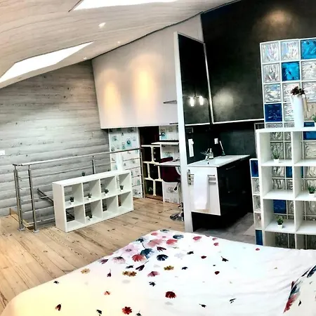 Duplex Atypique 20' De Toulouse