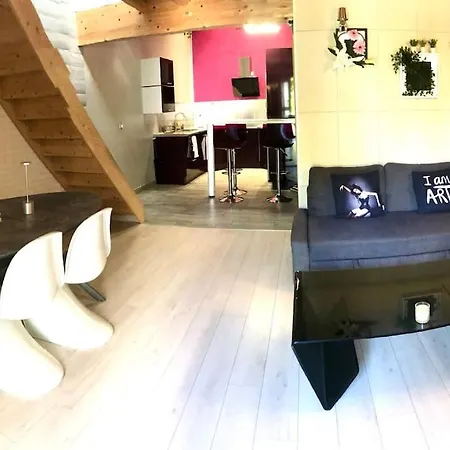 Duplex Atypique 20' De Toulouse شقة