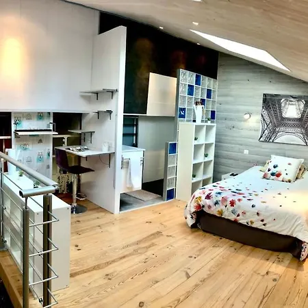 Duplex Atypique 20' De Toulouse アパート
