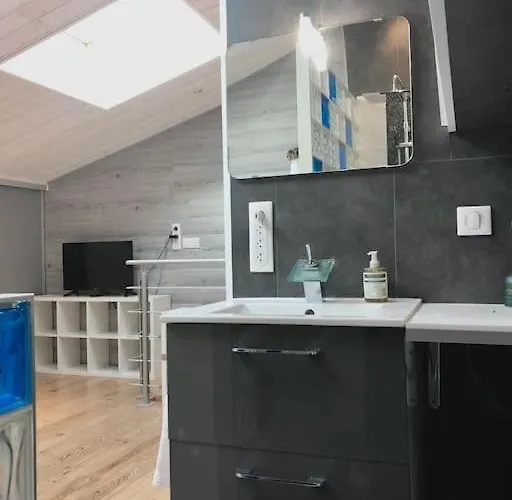 Duplex Atypique 20' De Toulouse *