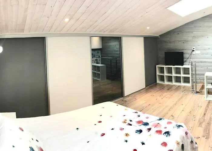 Duplex Atypique 20' De Toulouse Leguevin