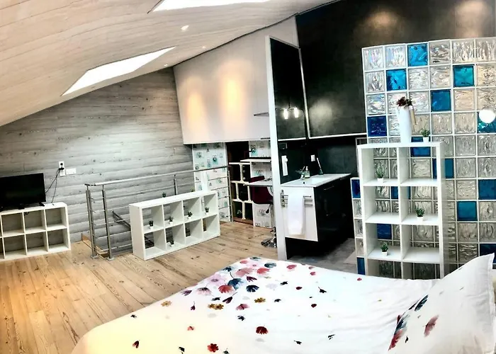 Duplex Atypique 20' De Toulouse