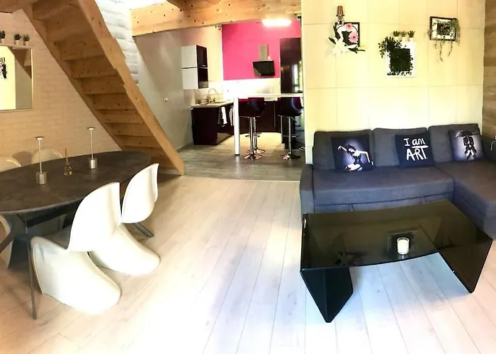 Duplex Atypique 20' De Toulouse 公寓