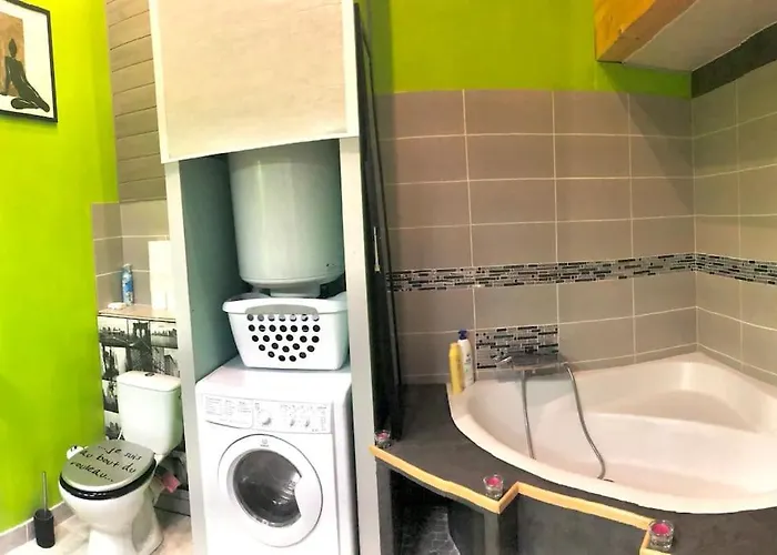 公寓 Duplex Atypique 20' De Toulouse *