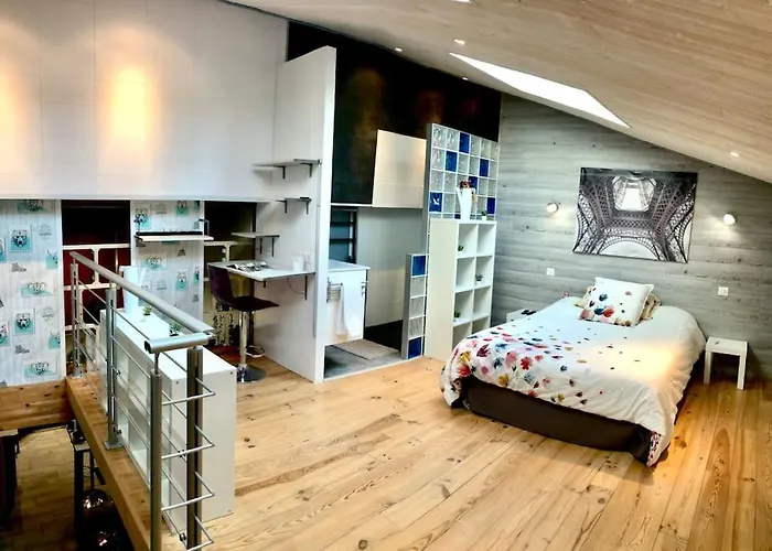 Duplex Atypique 20' De Toulouse 公寓